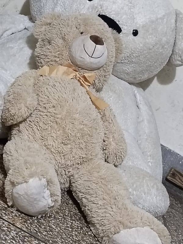 teddy bear bhalu 3