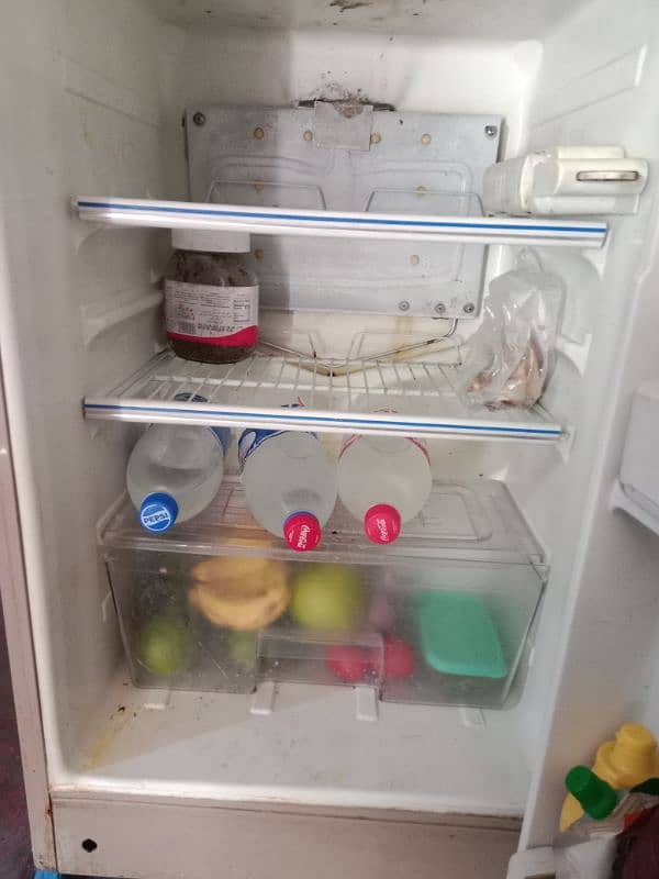 room fridge 2