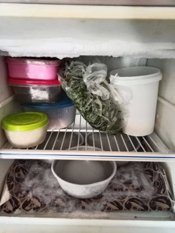 room fridge 4