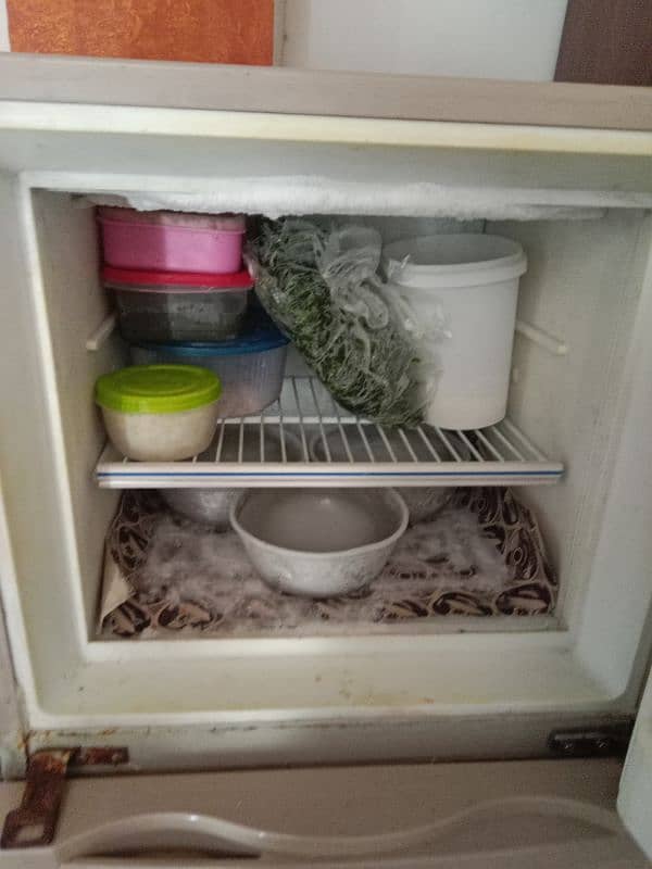 room fridge 5