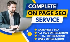 I will do professional WordPress SEO with Complete Onpage.