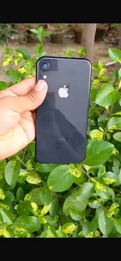 iphone xr 64 nonpta