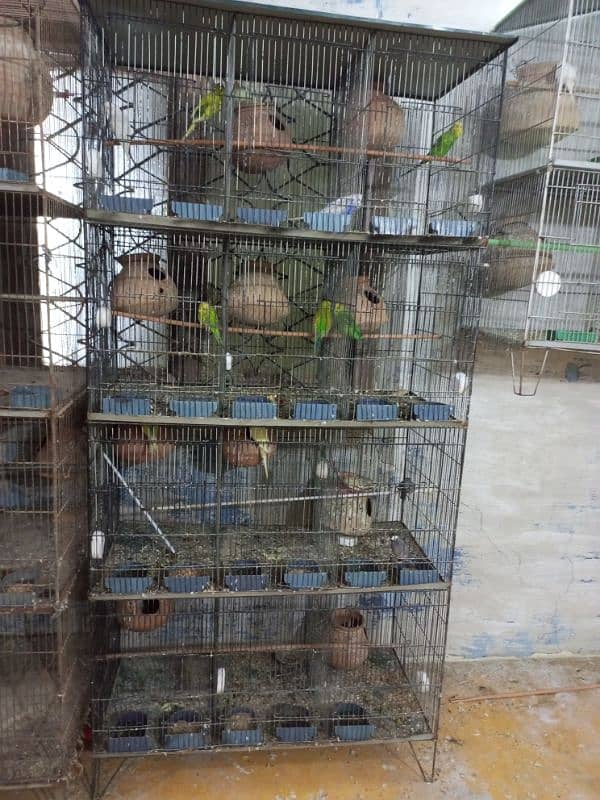 cage for sale 5