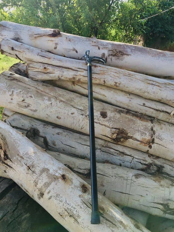 High Quality Walking Stick With Fancy Handle 2