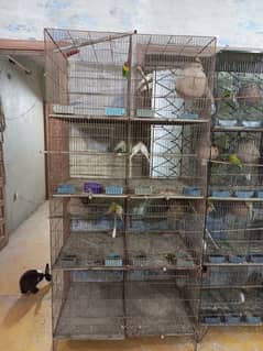 cage for sale 0