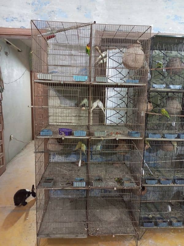 cage for sale 0