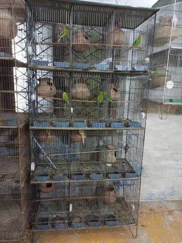 cage for sale 1