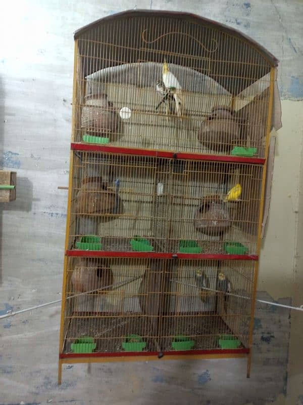 cage for sale 3