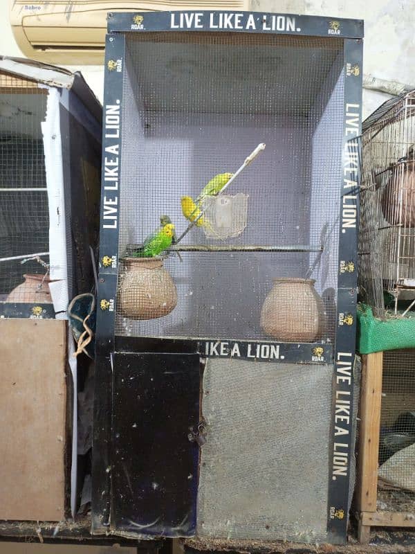 cage for sale 5