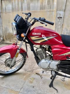 Yamaha YBR 125 Z 2019