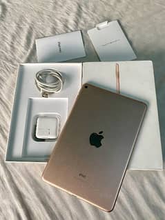 iPad mini 5 0