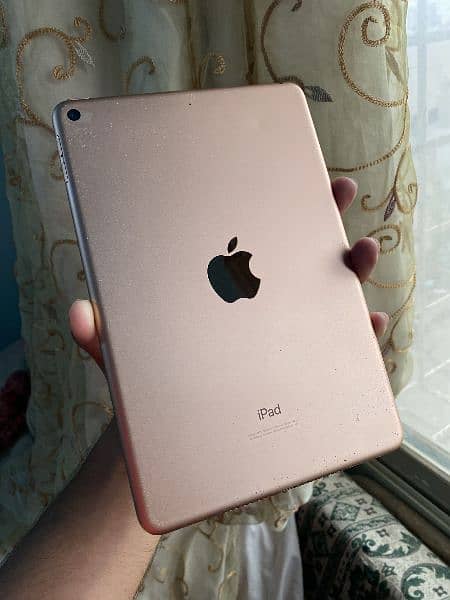 iPad mini 5 1