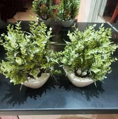 2 Artificial Plant Pots Imported