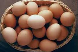 all types of aseel fertile or Desi fertile eggs available