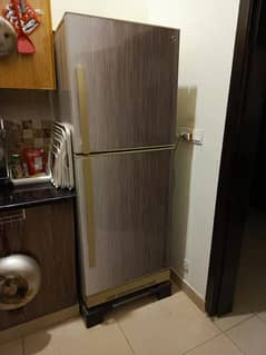 PEL King size refrigerator 0