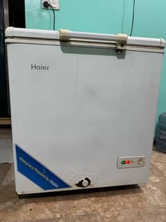 haier deep freezer single door