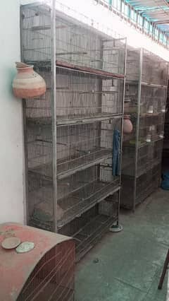 used cage for sale 13500