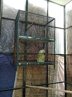 3 cage all iron ok cage