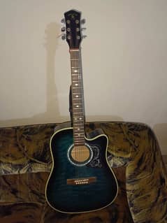 Acoustic Indiana Guitar