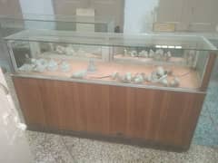 Counter for Sale 03177898017