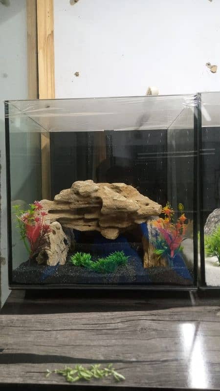 Aquarium Services and Cleaning 15