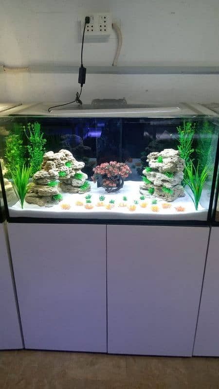 Aquarium Services and Cleaning 16