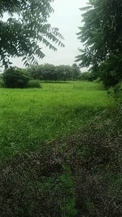 400 kanal land for sale for society on depal pur road 2000000 lac per kanal call me more details