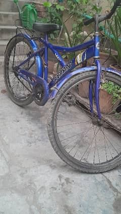 Bicycle 21'' for sale 03344685472