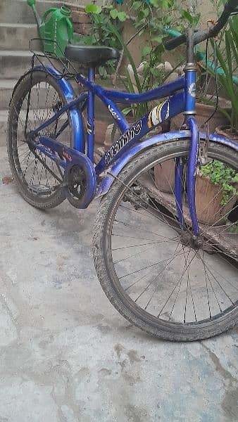 Bicycle 21'' for sale 03344685472 0