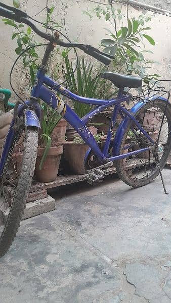 Bicycle 21'' for sale 03344685472 1