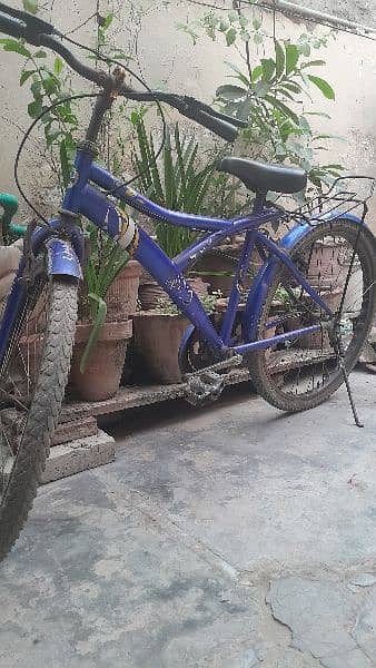 Bicycle 21'' for sale 03344685472 3