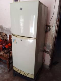 PEL Fridge (Refrigerator) Medium size with Jumbo Freezer