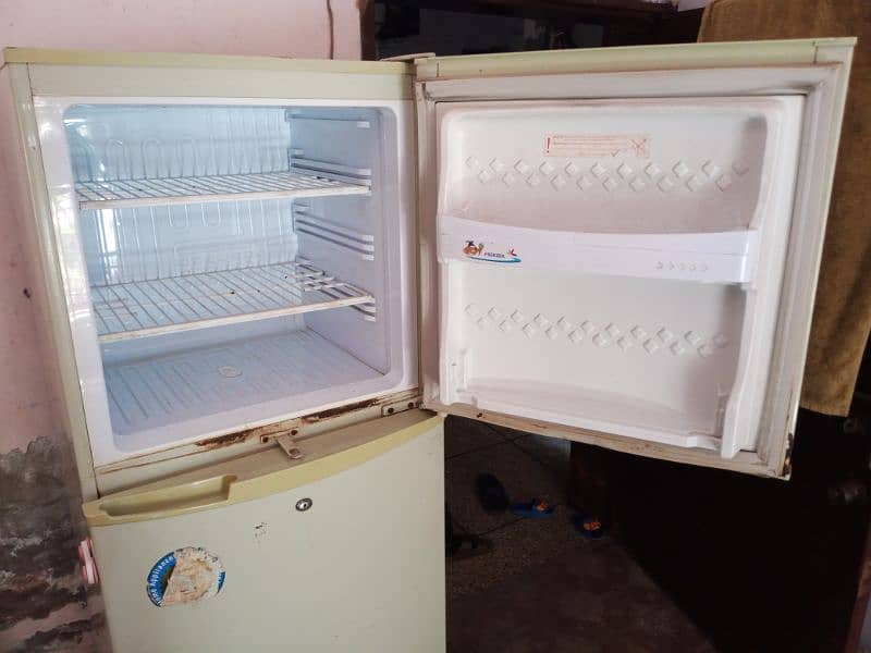 PEL Fridge (Refrigerator) Medium size with Jumbo Freezer 1