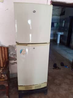 PEL Fridge (Refrigerator) Medium size with Jumbo Freezer