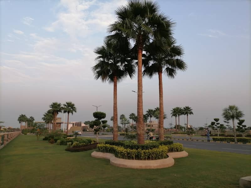 10 Marla Royal Palm Possession Plot Ideal Location 19