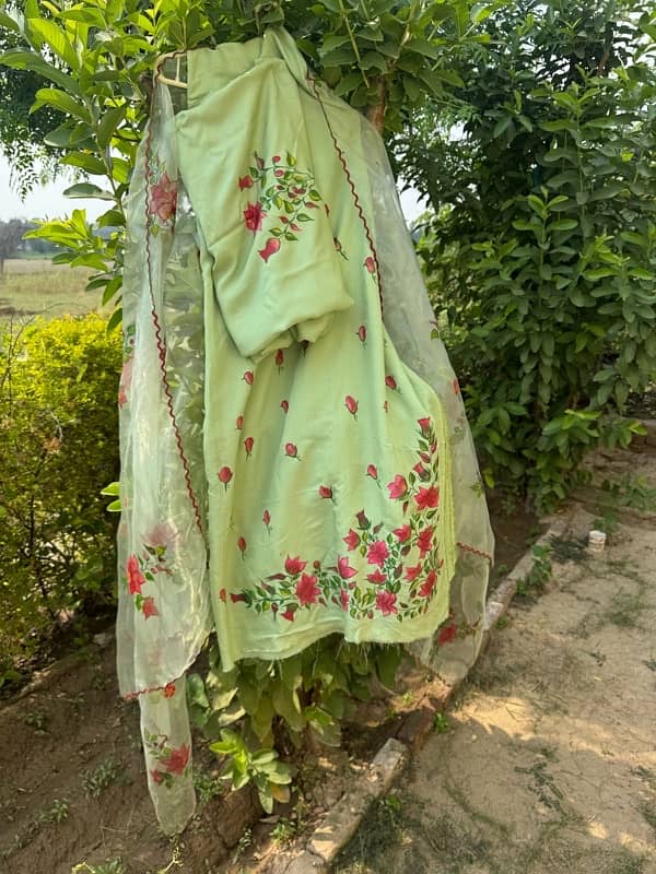 Hand painted 3 Piece with Organza dupatta 2