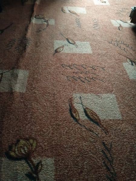 room carpet for sale in excellent condition 2