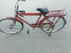 Sohrab cycle in Sahiwal