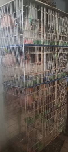 Cage with Australian parrots All setup for sale