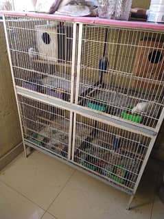 4 Portion Cage with Parrots for Sale. Urgent!!!