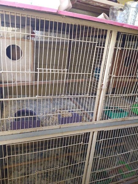 4 Portion Cage with Parrots for Sale. Urgent!!! 3