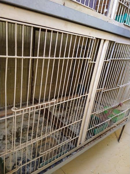 4 Portion Cage with Parrots for Sale. Urgent!!! 4