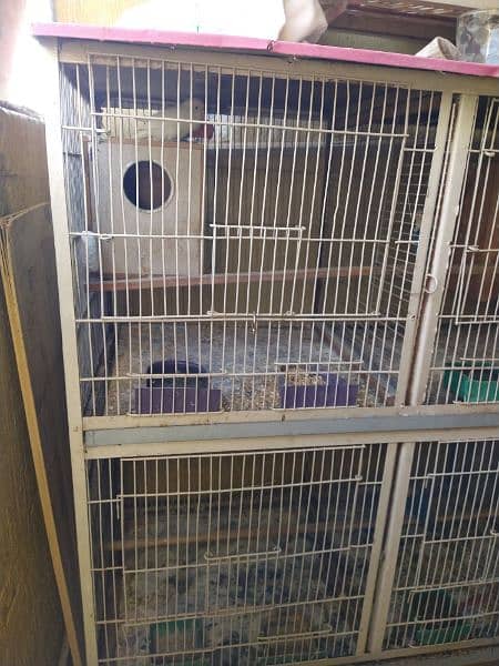 4 Portion Cage with Parrots for Sale. Urgent!!! 5