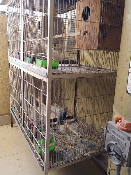 4 Portion Cage with Parrots for Sale. Urgent!!! 6