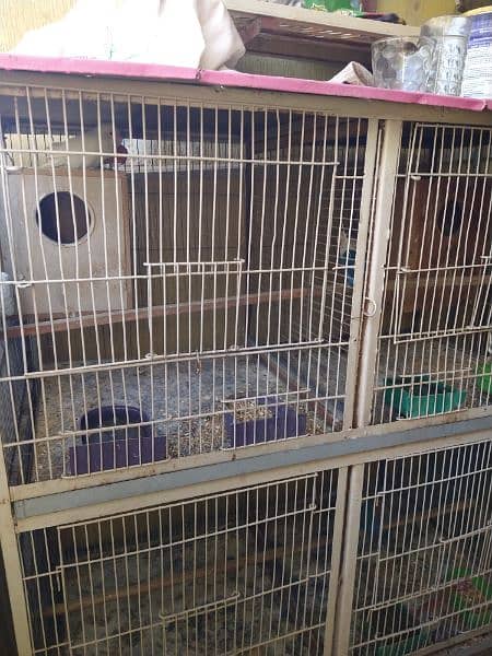 4 Portion Cage with Parrots for Sale. Urgent!!! 7