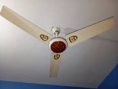 ceiling