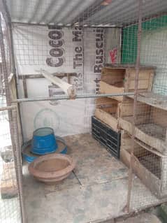 pigeon r birds cage  03180596500 price 9000