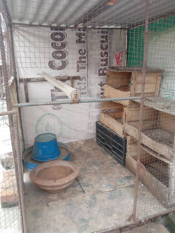 pigeon r birds cage  03180596500 price 9000 0