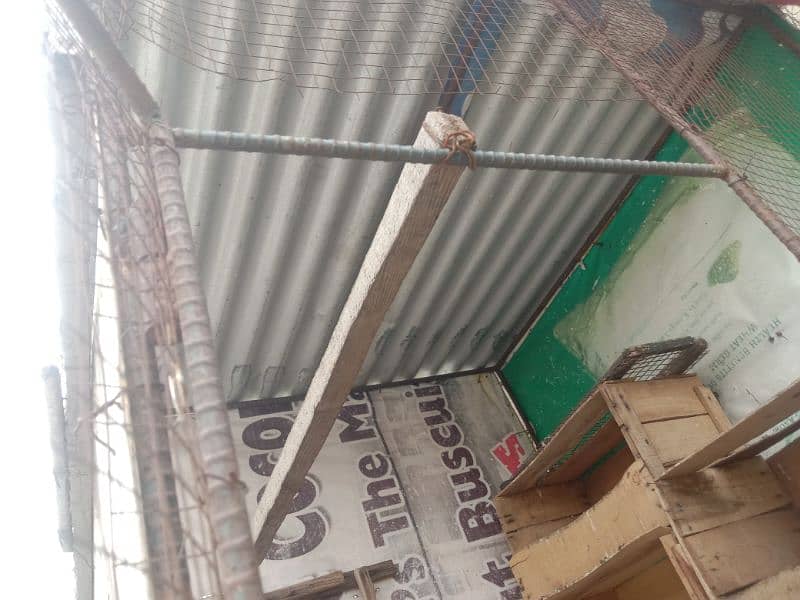 pigeon r birds cage  03180596500 price 9000 1