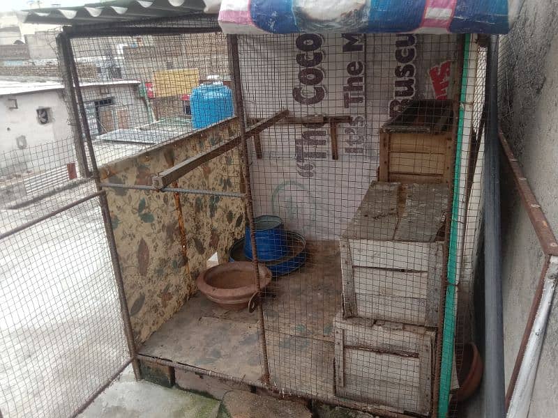 pigeon r birds cage  03180596500 price 9000 2